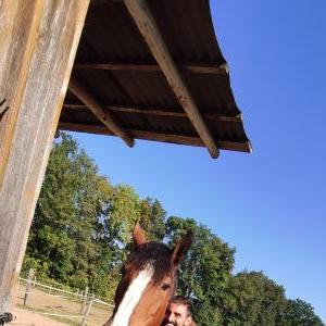 GalFugl - date a Norwegian, 100% free GalFugl